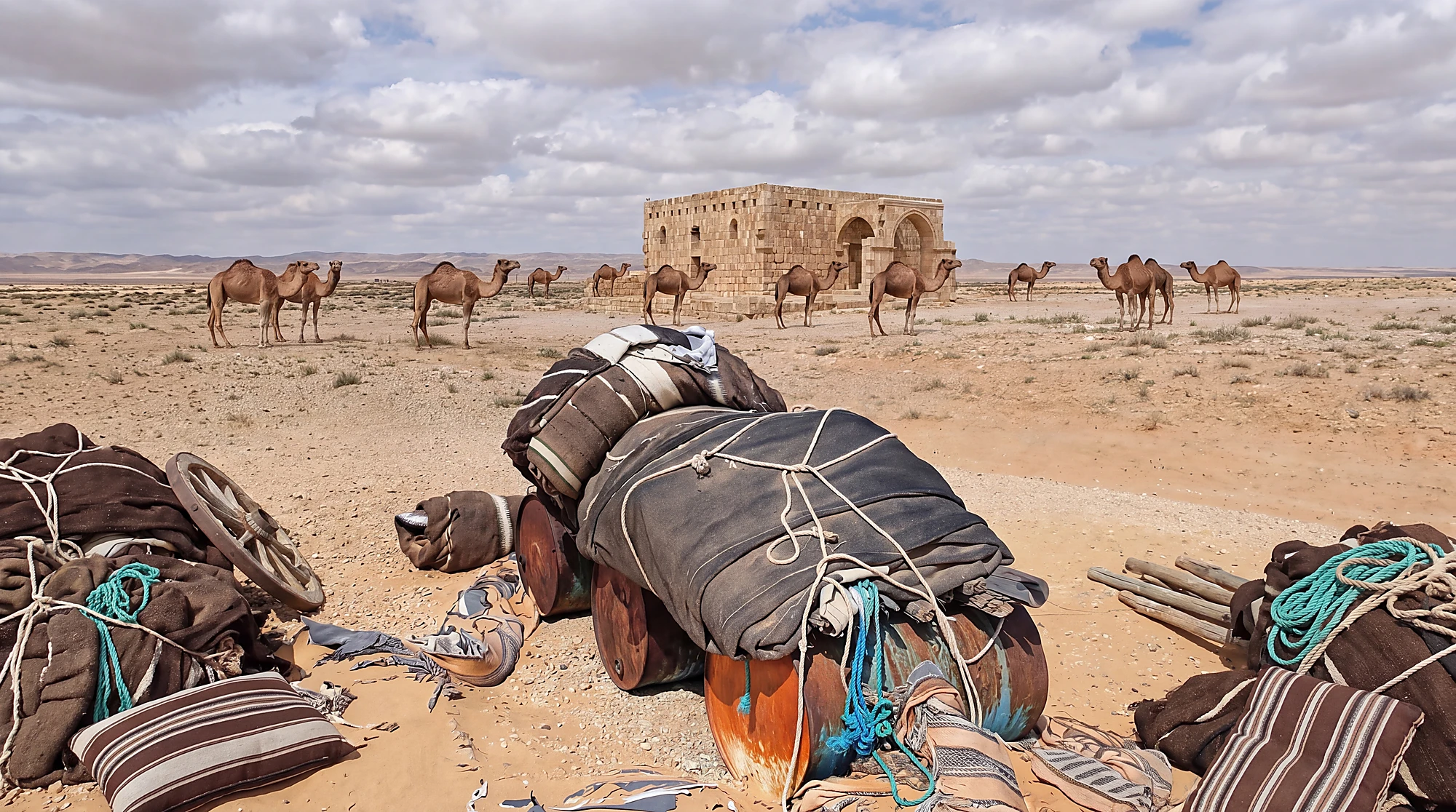 أجزاء بيت الشعر البدوي مفككة في البادية السورية - الشُّقّة من شعر الماعز، الحبال، العجلات الخشبية، الأعمدة، الأطباق، مع قطيع جمال ومبنى حجري في الخلفية